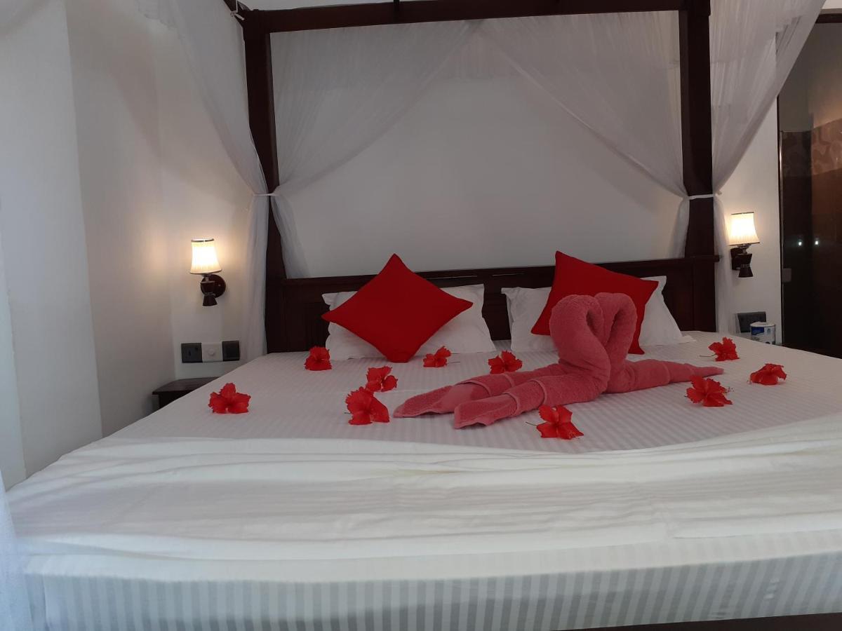 Bed and Breakfast Turtle Reef Guest Мирисса Экстерьер фото